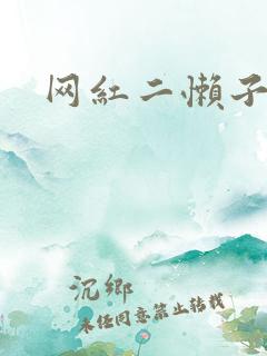 网红二懒子车祸