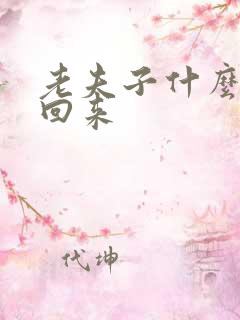 老夫子什么时候回来