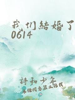 我们结婚了130614