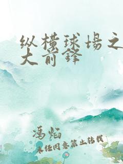 纵横球场之暴力大前锋