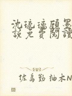 沈琉璃顾墨枫小说免费阅读