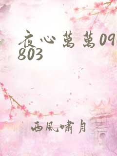 夜心万万090803
