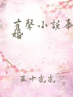 有声小说奉子成婚