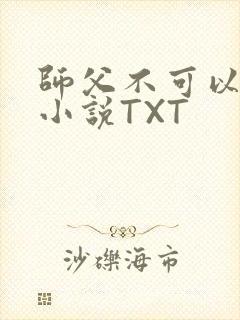 师父不可以灵犀小说TXT
