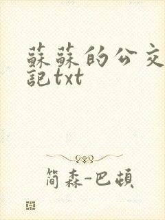 苏苏的公交车日记txt