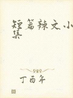 短篇辣文小说合集