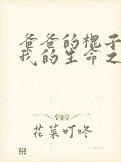 爸爸的棍子顶着我的生命之门