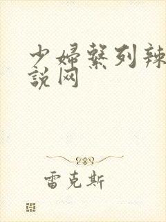 少妇系列辣文小说网