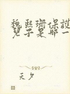 魏熙珊保护萧峥儿子是哪一集