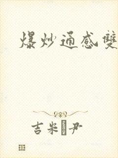 爆炒通感双胞胎