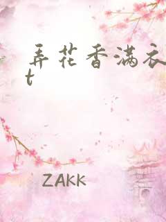 弄花香满衣txt