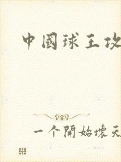 中国球王攻略