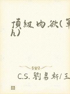 顶级肉欲(军高h)