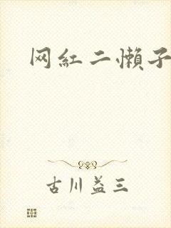 网红二懒子车祸