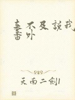 来不及说我爱你番外