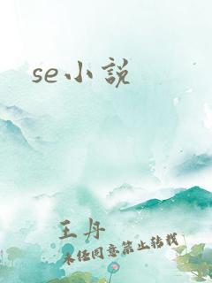 se小说