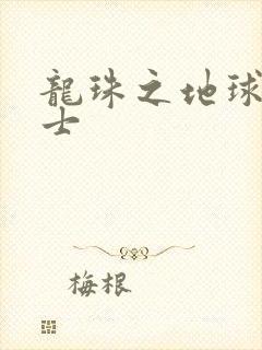 龙珠之地球人战士