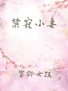 禁宠小妻