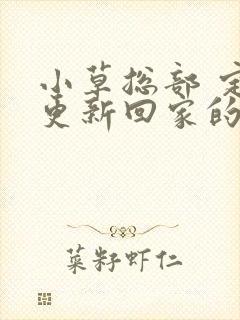 小草总部 定期更新回家的路