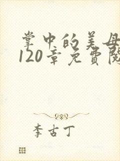 掌中的美母版主120章免费阅读