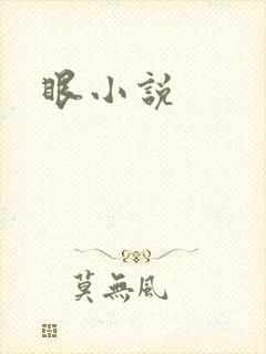 眼小说