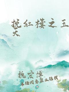 挽红楼之玉舞九天