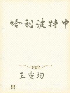 哈利波特中文版