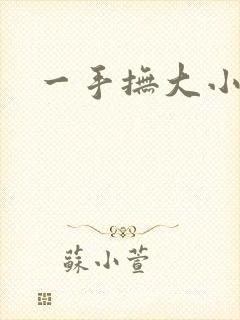 一手抚大小说