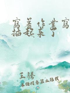 写着作业写着就插起来了