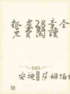 抓灰28章全部免费阅读