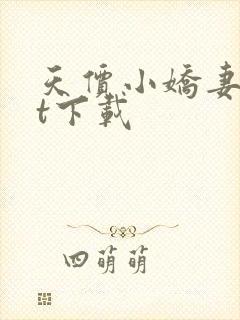 天价小娇妻txt下载