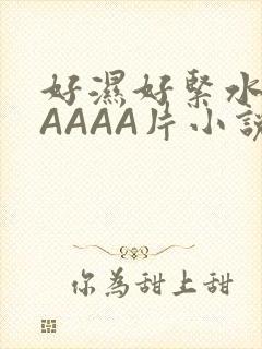 好湿好紧水多AAAAA片小说
