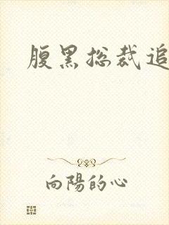 腹黑总裁追娇妻