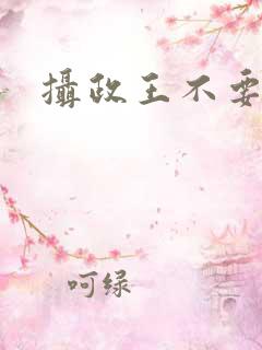 摄政王不要