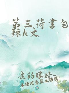 第三荷书包网高辣h文