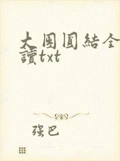 大团圆结全文阅读txt