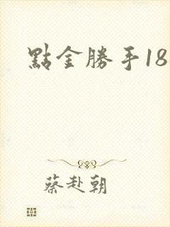 点金胜手18