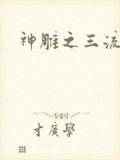神雕之三流
