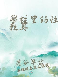 学校里的性教学教具