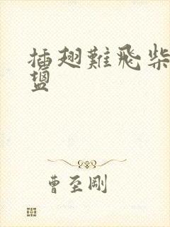 插翅难飞柴米油盐