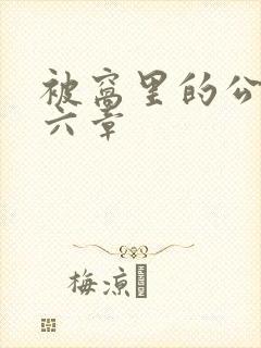 被窝里的公息第六章