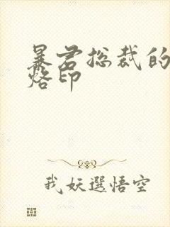 暴君总裁的狂烈烙印