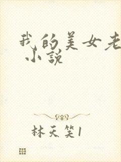 我的美女老婆们 小说