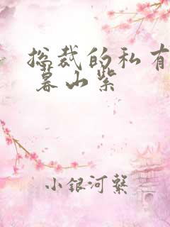 总裁的私有宝贝 暮山紫