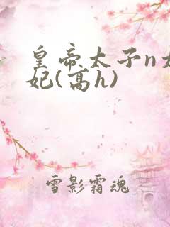 皇帝太子n太子妃(高h)