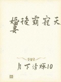 婚后霸宠天价小妻