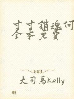 寸寸销魂何生祥全本免费