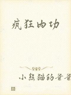 疯狂内功