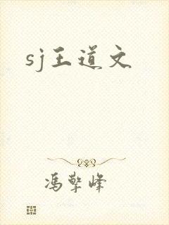 sj王道文