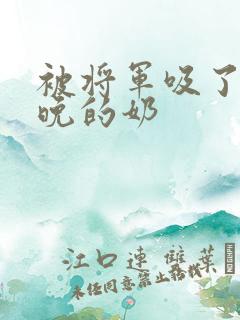 被将军吸了一整晚的奶